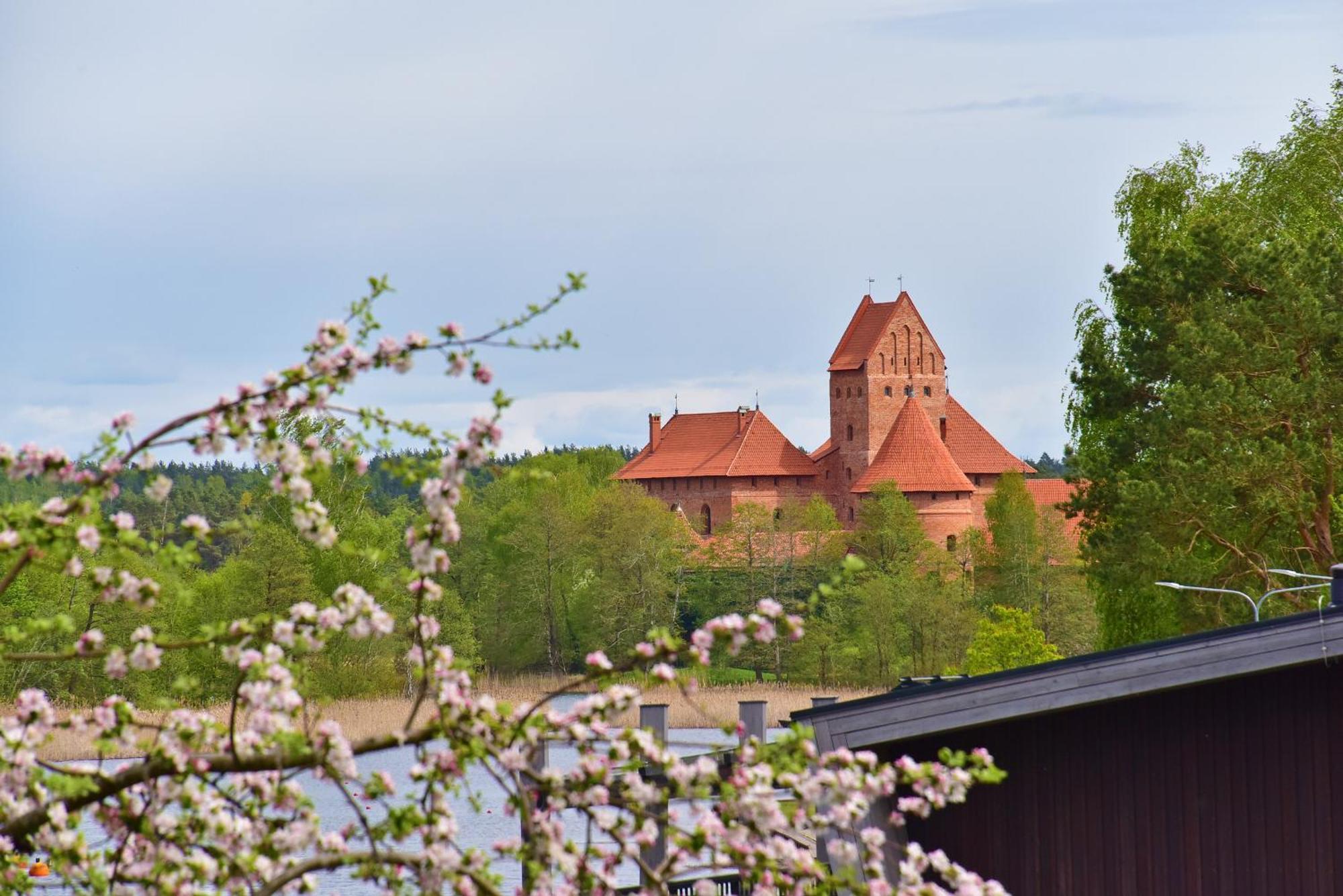 Augutes Zurlienes Apartamentai Trakai Eksteriør bilde