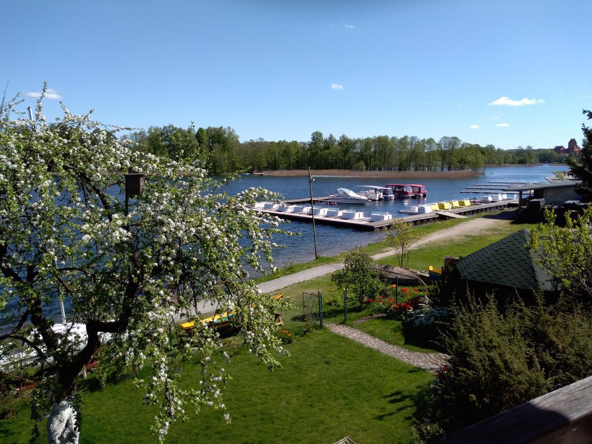 Augutes Zurlienes Apartamentai Hotell Trakai Eksteriør bilde