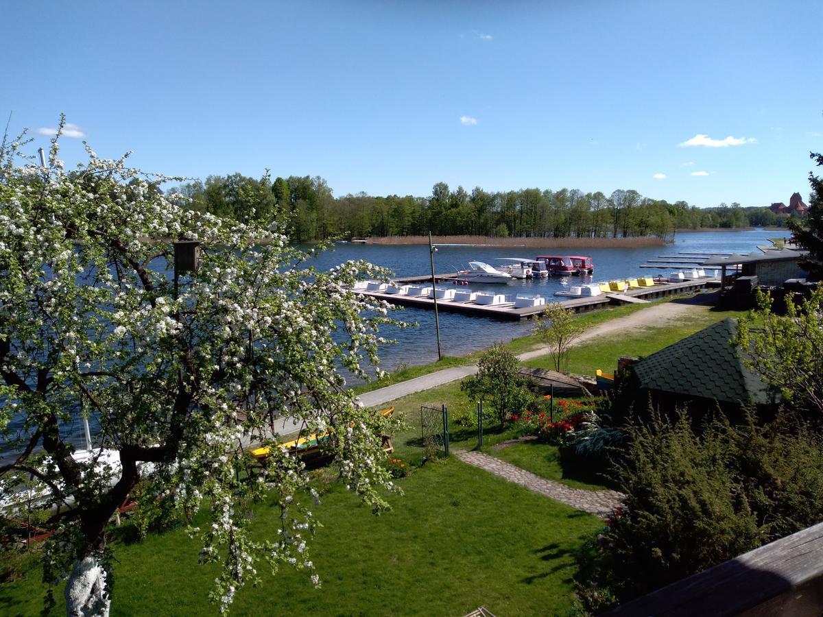 Augutes Zurlienes Apartamentai Trakai Eksteriør bilde
